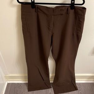 Chelsea Taylor Pants Size 14 Color Brown